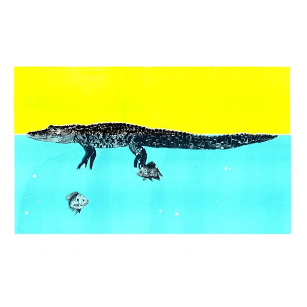 alligator